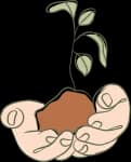 Sustainability program at Simba Education