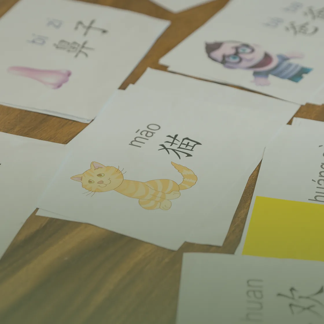 Language Lessons program at Simba Education Sydney