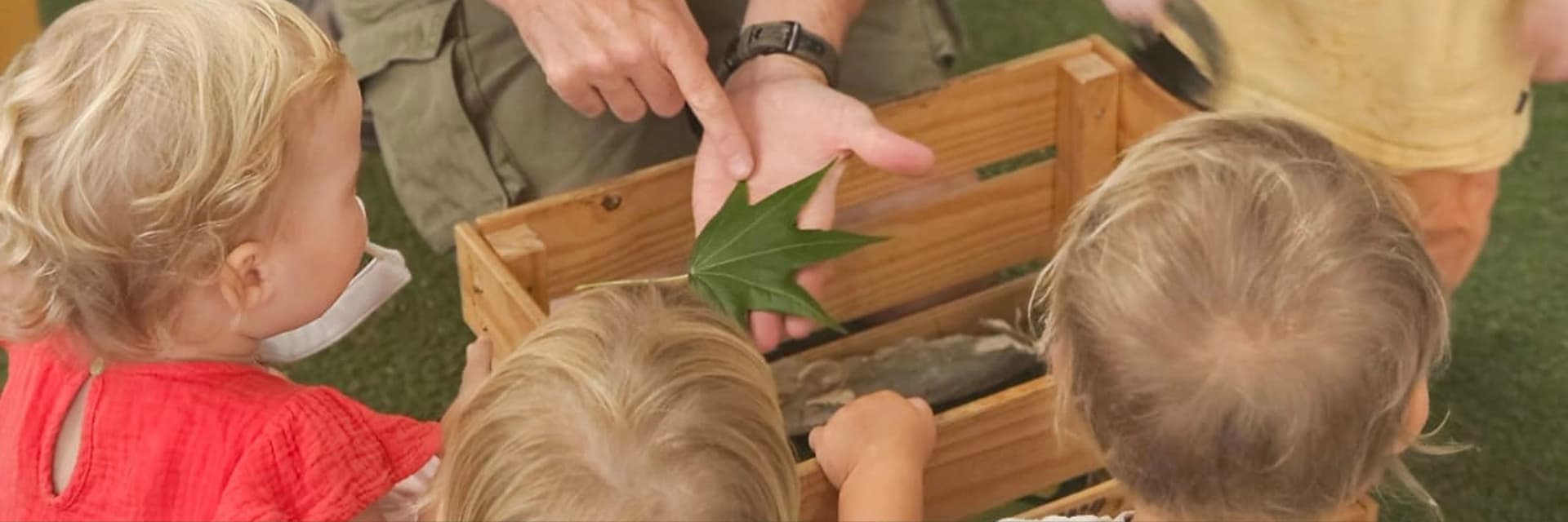 Sustainability program at Simba Education early learning centres in Sydney